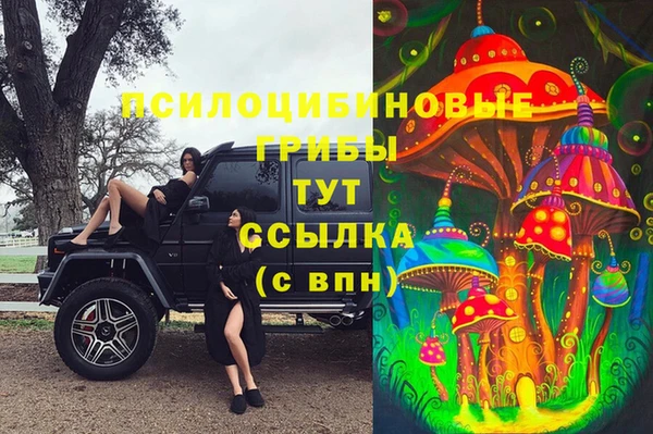 меф Олёкминск